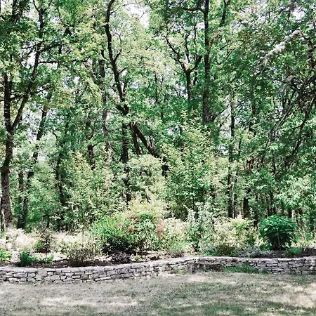 Amazing In Ferienhaus *